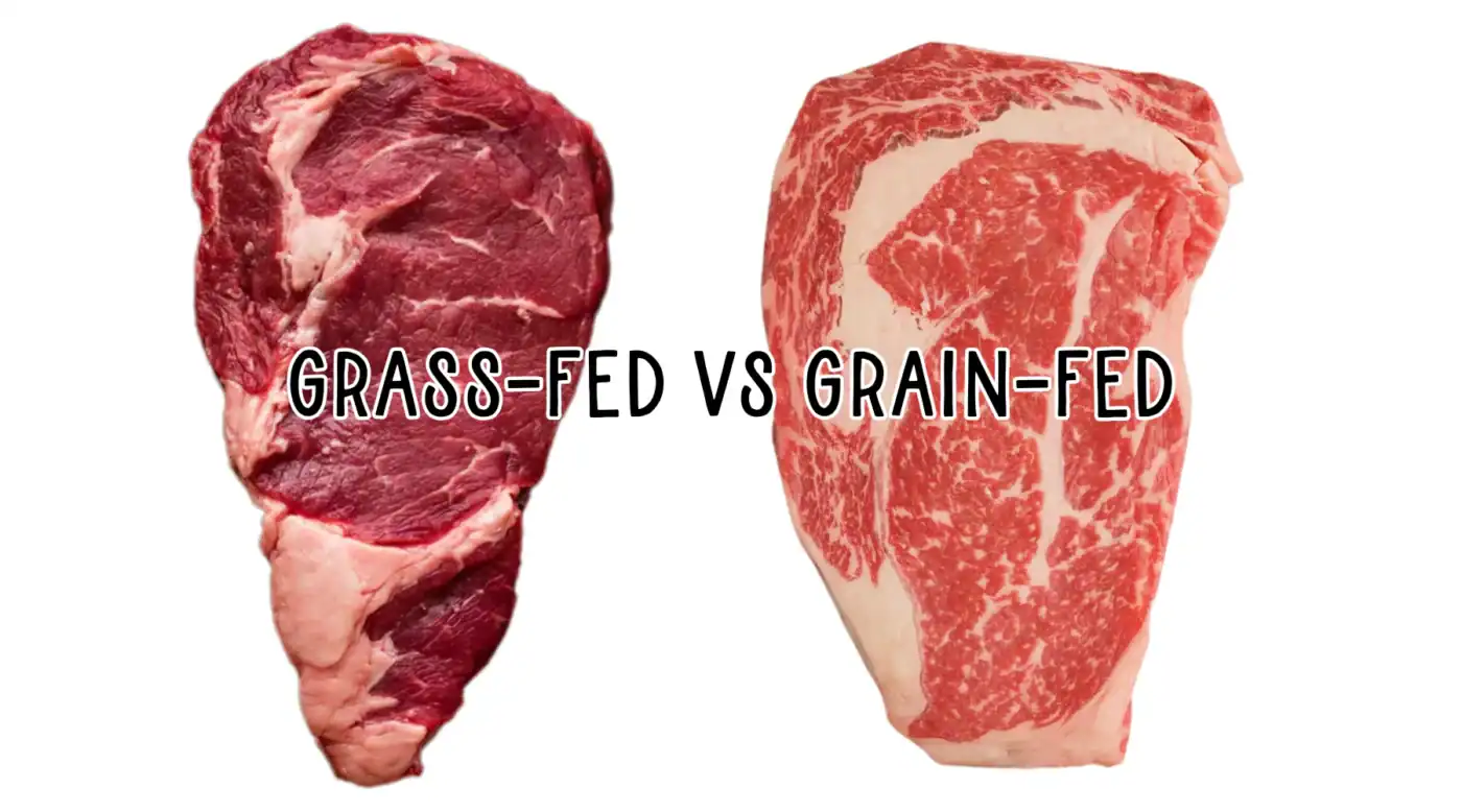 High-quality organic beef showing grass-fed and grain-fed cuts for healthy meat choices.